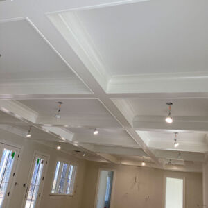 Charlottesville-Interior-Coffered-Ceiling-Painting-New--Construction-Charlottesville